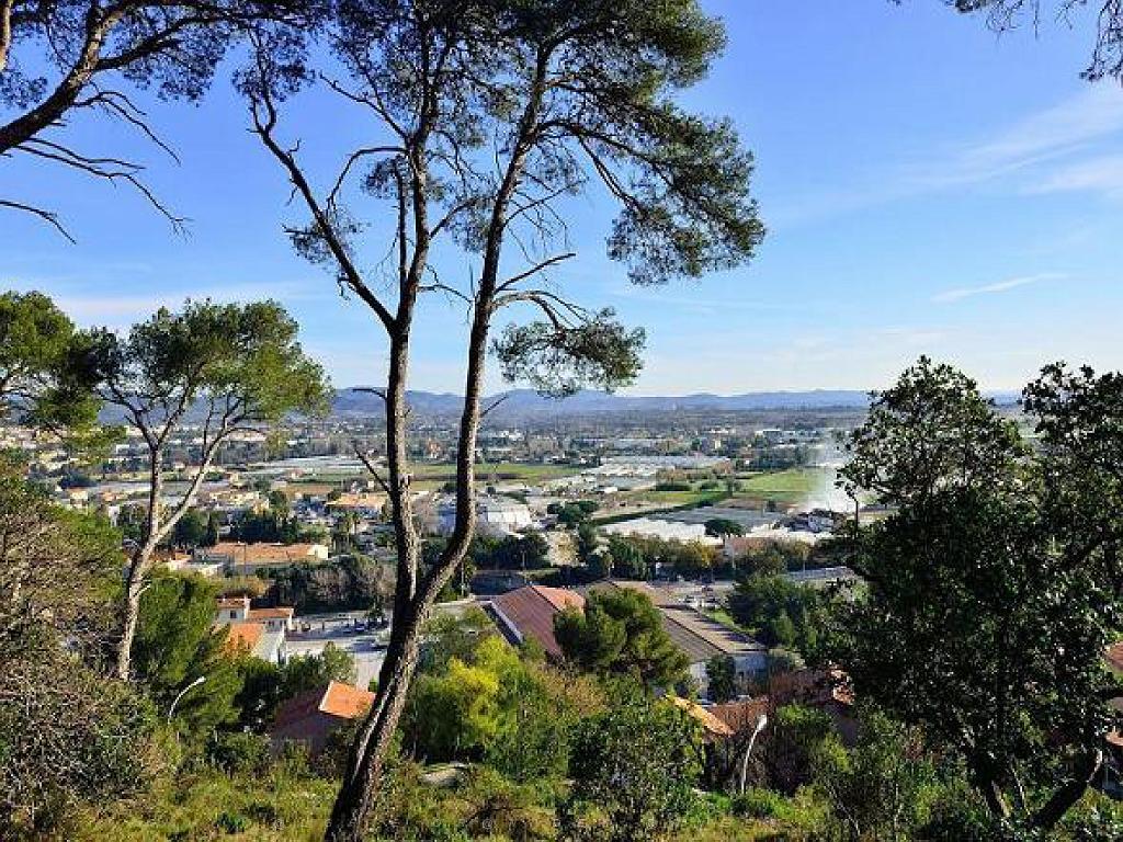 183 HYERES ET SES PALMIERS D15_000038.jpg